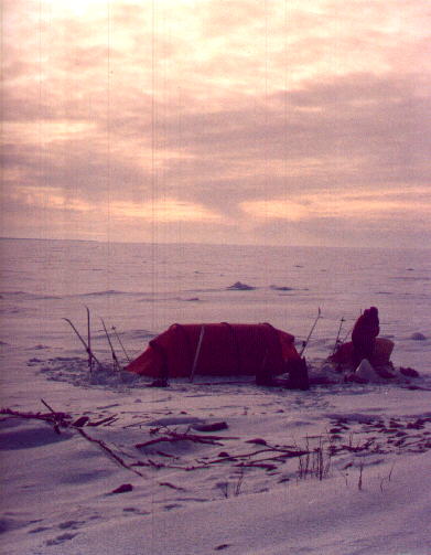 Halsögrundet